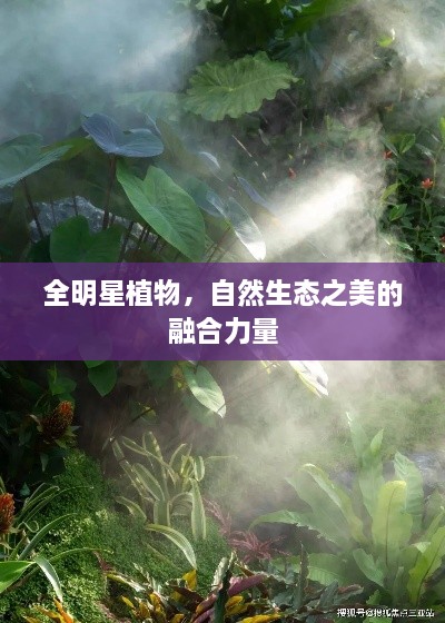 全明星植物，自然生態(tài)之美的融合力量