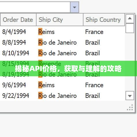 揭秘API價(jià)格，獲取與理解的攻略