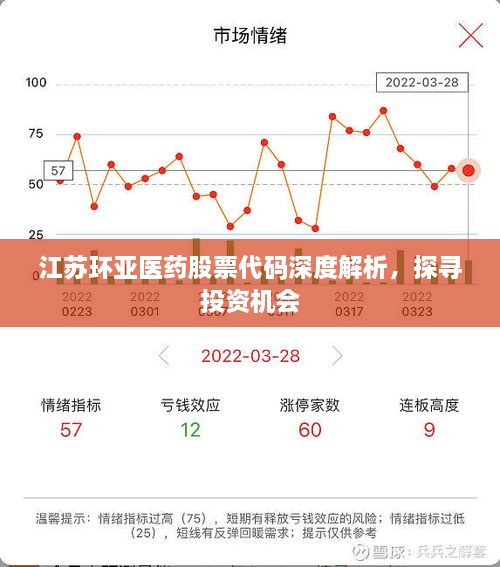 江蘇環(huán)亞醫(yī)藥股票代碼深度解析，探尋投資機(jī)會
