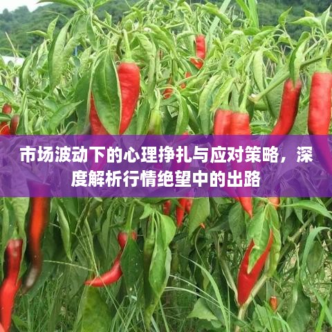 長(zhǎng)安米貴 第2頁(yè)