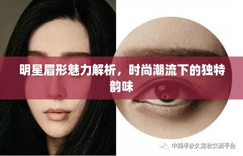 明星眉形魅力解析，時(shí)尚潮流下的獨(dú)特韻味