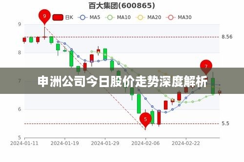 申洲公司今日股價走勢深度解析