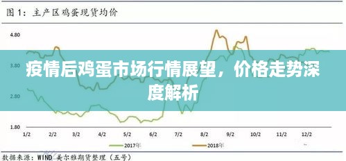 疫情后雞蛋市場(chǎng)行情展望，價(jià)格走勢(shì)深度解析