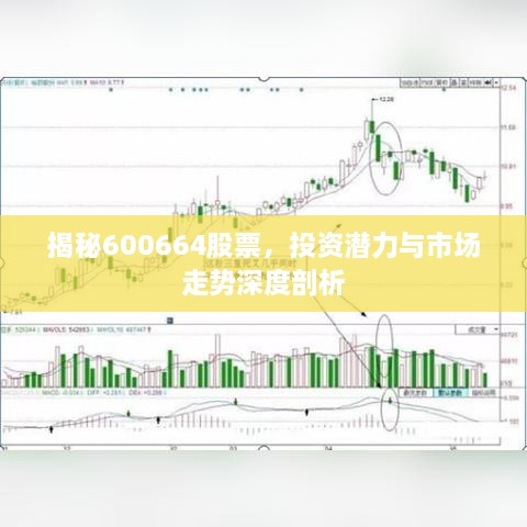 揭秘600664股票，投資潛力與市場走勢深度剖析