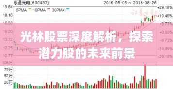 光林股票深度解析，探索潛力股的未來(lái)前景