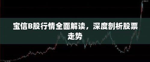 寶信B股行情全面解讀，深度剖析股票走勢