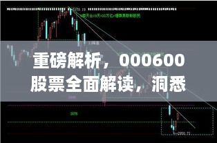 重磅解析，000600股票全面解讀，洞悉投資趨勢(shì)！