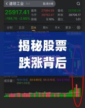 揭秘股票跌漲背后的風(fēng)險與策略，如何巧妙應(yīng)對股市波動？
