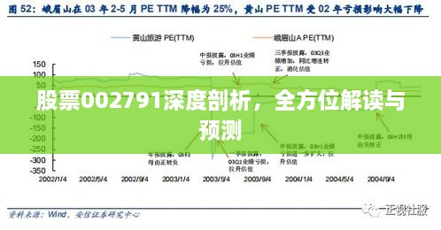 股票002791深度剖析，全方位解讀與預(yù)測