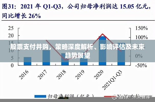 股票支付并購(gòu)，策略深度解析、影響評(píng)估及未來(lái)趨勢(shì)展望