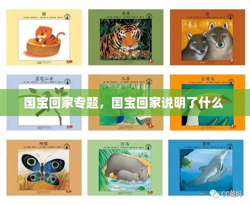 國寶回家專題，國寶回家說明了什么 