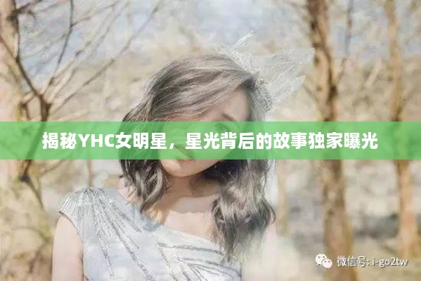 揭秘YHC女明星，星光背后的故事獨(dú)家曝光