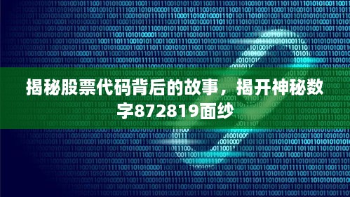 揭秘股票代碼背后的故事，揭開神秘數(shù)字872819面紗