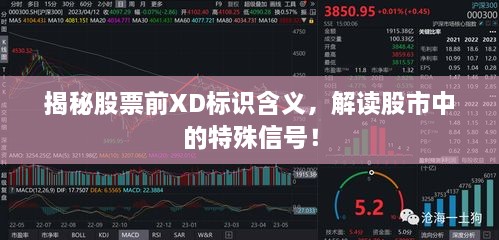 揭秘股票前XD標(biāo)識(shí)含義，解讀股市中的特殊信號(hào)！