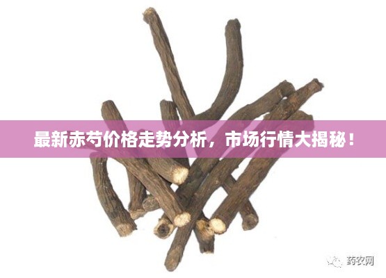 最新赤芍價(jià)格走勢(shì)分析，市場(chǎng)行情大揭秘！