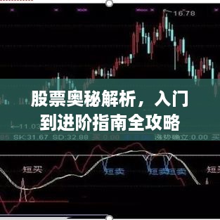 股票奧秘解析，入門到進階指南全攻略