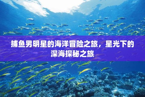 捕魚(yú)男明星的海洋冒險(xiǎn)之旅，星光下的深海探秘之旅