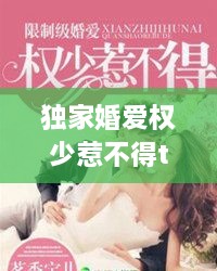 功成名就 第2頁(yè)