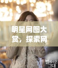 明星網(wǎng)圖大賞，探索網(wǎng)絡(luò)上的閃耀星辰之美