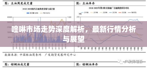 喹啉市場(chǎng)走勢(shì)深度解析，最新行情分析與展望