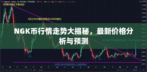 NGK幣行情走勢大揭秘，最新價格分析與預測