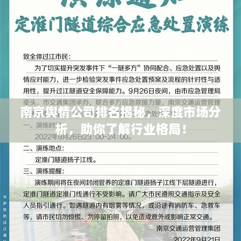 南京輿情公司排名揭秘，深度市場分析，助你了解行業(yè)格局！