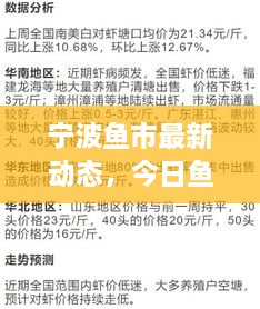 寧波魚市最新動態(tài)，今日魚價、市場走勢及影響因素全解析