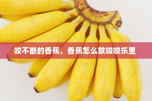 咬不斷的香蕉，香蕉怎么放咬咬樂里 