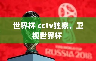 世界杯 cctv獨(dú)家，衛(wèi)視世界杯 