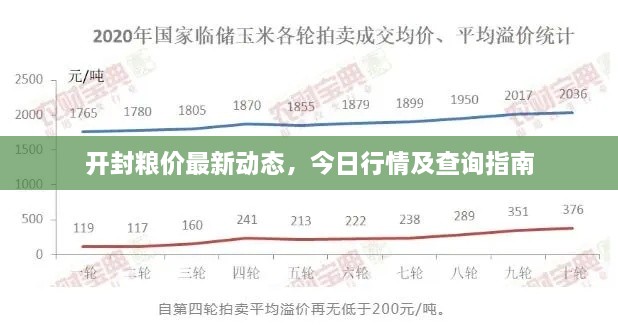 開(kāi)封糧價(jià)最新動(dòng)態(tài)，今日行情及查詢指南