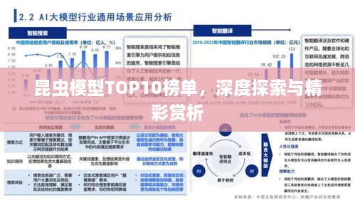 昆蟲模型TOP10榜單，深度探索與精彩賞析