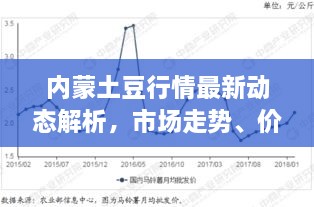 內(nèi)蒙土豆行情最新動態(tài)解析，市場走勢、價格及影響因素全解析