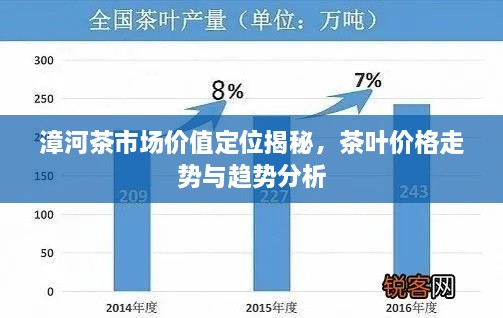 漳河茶市場價值定位揭秘，茶葉價格走勢與趨勢分析