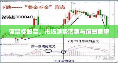 藍鼠標股票，市場趨勢洞察與前景展望