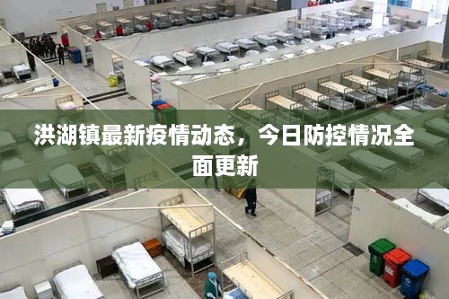 洪湖鎮(zhèn)最新疫情動態(tài)，今日防控情況全面更新