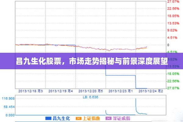 昌九生化股票，市場走勢揭秘與前景深度展望