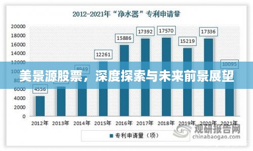 美景源股票，深度探索與未來前景展望