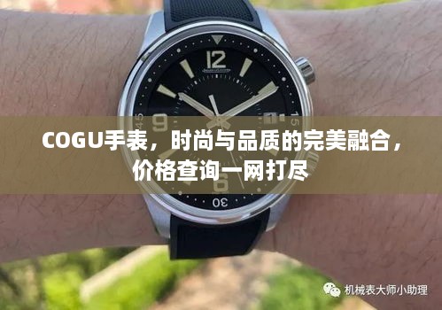 COGU手表，時尚與品質(zhì)的完美融合，價格查詢一網(wǎng)打盡