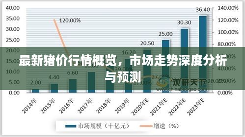 最新豬價行情概覽，市場走勢深度分析與預測