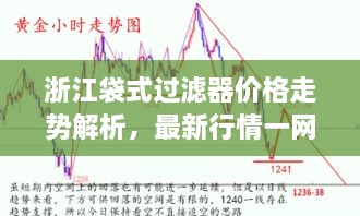 浙江袋式過(guò)濾器價(jià)格走勢(shì)解析，最新行情一網(wǎng)打盡！