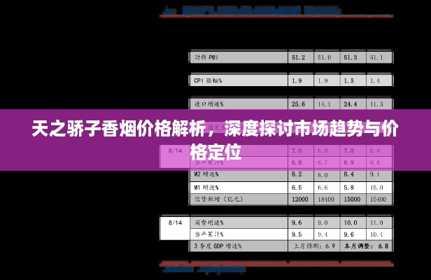 天之驕子香煙價(jià)格解析，深度探討市場趨勢與價(jià)格定位