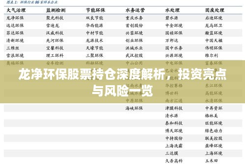 龍凈環(huán)保股票持倉深度解析，投資亮點與風險一覽