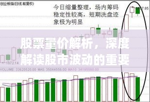 股票量價解析，深度解讀股市波動的重要指標！