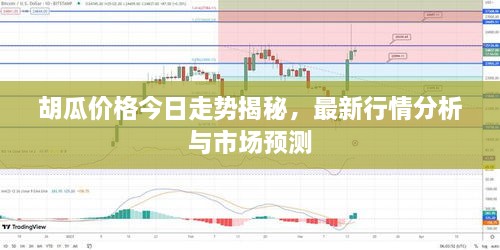 胡瓜價(jià)格今日走勢揭秘，最新行情分析與市場預(yù)測