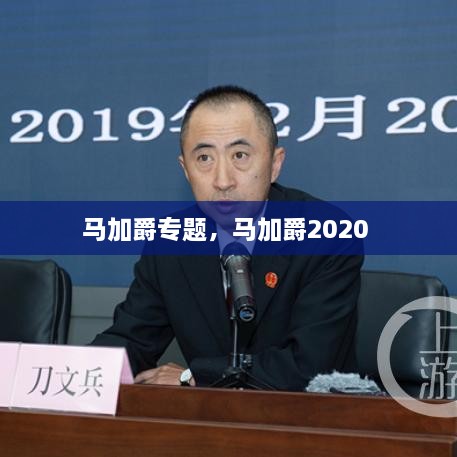 馬加爵專題，馬加爵2020 