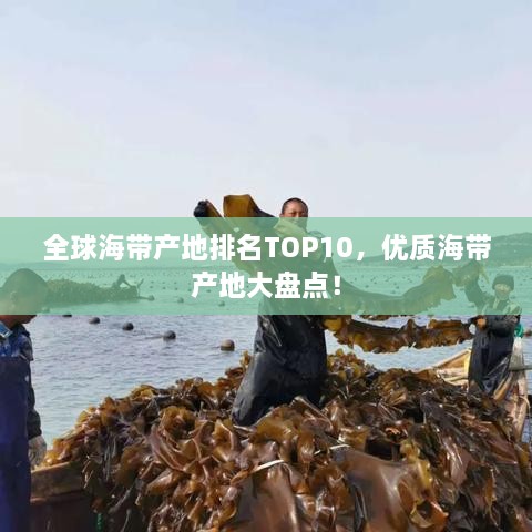 全球海帶產(chǎn)地排名TOP10，優(yōu)質(zhì)海帶產(chǎn)地大盤點！