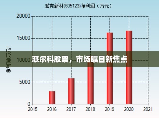 派爾科股票，市場矚目新焦點(diǎn)