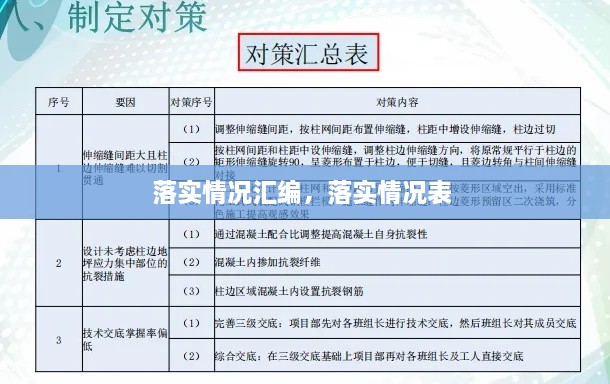 落實情況匯編，落實情況表 