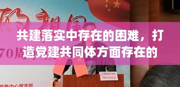 共建落實(shí)中存在的困難，打造黨建共同體方面存在的問題 