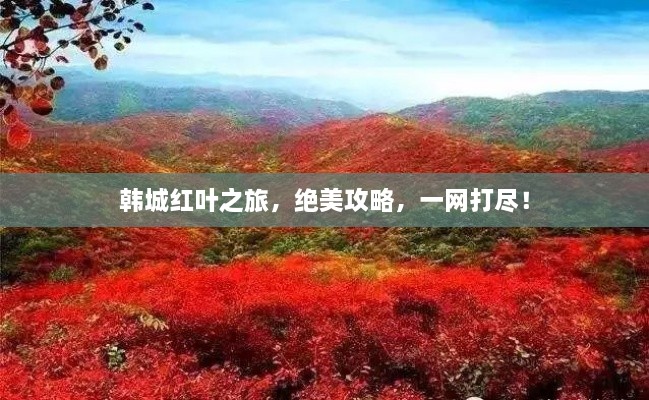 韓城紅葉之旅，絕美攻略，一網(wǎng)打盡！